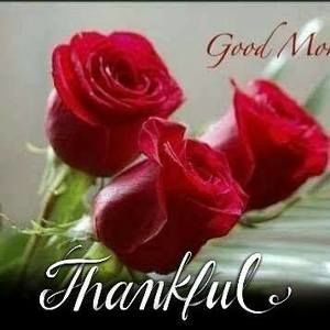 Meet your Posher, Simone